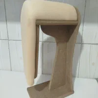 ژانت همه کاره (آستین)