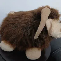 تابلو|تابلو، نقاشی، عکس|مشهد, شفا|دیوار