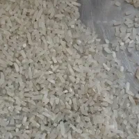 برنج لاشه دم سیاه