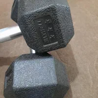 دمبل مکسول Maxwell روکش چرم اصل