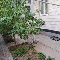 سوئیت ویلایی دوبلکس دارای حیاط وپارکینگ|اجارهٔ کوتاهمدت آپارتمان و سوئیت|خلخال, |دیوار