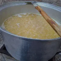 روغن گاو