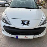 ۲۰۷پانا خشک