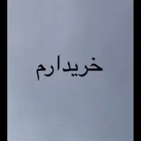 همستر