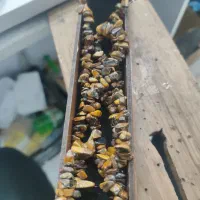 ریسه سنگی و نقشه سنگی ایران|جواهرات|سیرجان, |دیوار