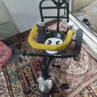 دوچرخه سه چرخ بچه گانه