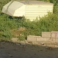 باربندوانت