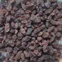 کشمش بدونه هسته درجه یک|خوردنی و آشامیدنی|اسدآباد, |دیوار