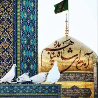 کرج به مشهد 2800