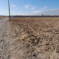 زمین کشاورزی جاده کرو بسطام