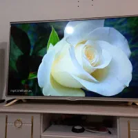 ال ای دی ۴۳اینچ الجی اصلی دوگیرنده پشت سفید سفارشی