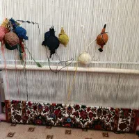 قالی 800تایی|فرش|شهرکرد, |دیوار