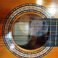 گیتار|گیتار، بیس، امپلیفایر|سبزوار, امیریه|دیوار