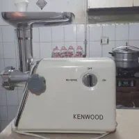 چرخ گوشت