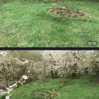 زمین-ویلا-باغ