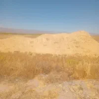 لوازم جانبی حیوانات