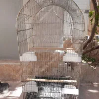 قفس پرنده بزرگ