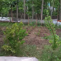 فروش ویلا با زمین ۲۵۰متری از املاک ابوالفضل بخرید|فروش خانه و ویلا|رودبنه, |دیوار