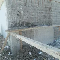 تخریب باپیکور