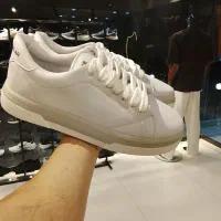 ونس لژدار