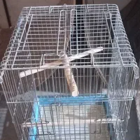 فروش قفس پرنده ولونه و لوازم دست دوم تمیز