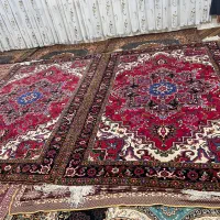 فرش6متری نقشه تاجری اصل هریس|فرش|خواجه, |دیوار