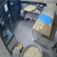 به یه خمیر گیر و شاطر نیازمندم  به صورت شفیعی