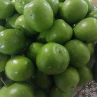 گوجه سبز درجه یک