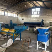 ترمینال پسته