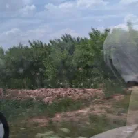 فروش باغچه نقلی|فروش زمین و ملک کلنگی|رباطکریم, شترخوار|دیوار