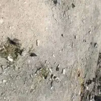 فروش ملک ۱۳۰ متری انتهای طلایی شهرک امام رضا