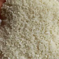فروش برنج سر لاشه هاشمی واقعی ۲۷۹ تومن