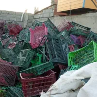 خرید فروش کارتون سبد و کارتون موز