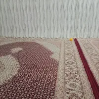 سوییت شبانه روزی