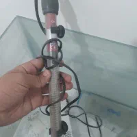 آکواریوم با لوازم|ماهی|تربت‌حیدریه, مسجد جامع|دیوار