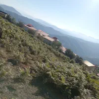 زمین-ییلاقی-رجه