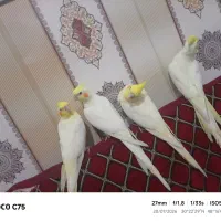 آبادان