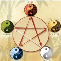 آموزش تایچی و چیکونگ (هنر رزمی و درمانی)