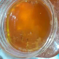 بادام گردو عسل|خوردنی و آشامیدنی|رامسر, |دیوار