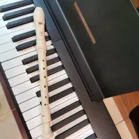 فلوت ریکوردر یاماها مدل YRS23/ اورجینال|سازهای بادی|سلمان‌شهر, |دیوار