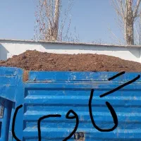 کود مرغی کود گوسفندی کود گاوی|خدمات باغبانی و درختکاری|ماهدشت, |دیوار