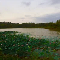 استخدام کارشناس فروش خانم