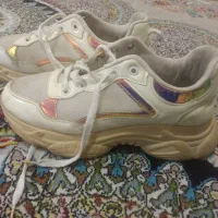 کفش|کیف، کفش، کمربند|باغ ملک, |دیوار