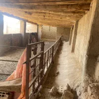 دامداری دوهزارمتر دور دیوار با امکانات کامل|فروش دفتر صنعتی، کشاورزی، تجاری|نیشابور, فضل|دیوار