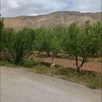 180متر زمین آب+برق+گاز سند تک‌برگ جابان دماوند