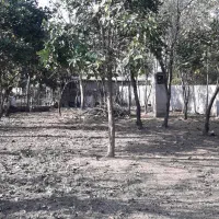 فروش زمین ۳۰۰متری مسکونی|فروش زمین و ملک کلنگی|ماکلوان, |دیوار