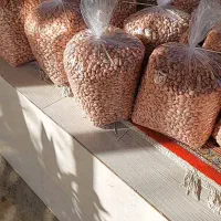 بازاریابی|استخدام بازاریابی و فروش|تهران, ترمینال غرب|دیوار