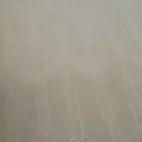 گیاه درمان برای زانودرد برای تمام درد اعضاء بدن