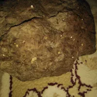 سنگ طلا|جواهرات|تهران, آرژانتین|دیوار