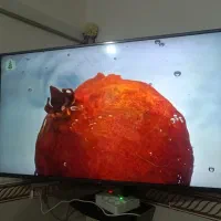 تلوزیون 47اینچ الجی معمولی